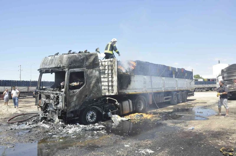 Park halindeki kayısı yüklü tır yandı, içinde uyuyan sürücü son anda dışarı çıktı
