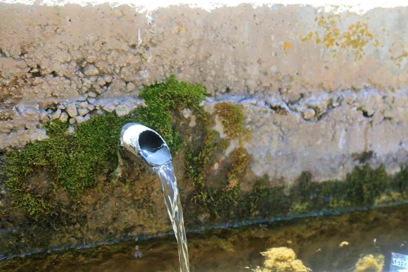 Ardıç kokulu su şifa dağıtıyor
