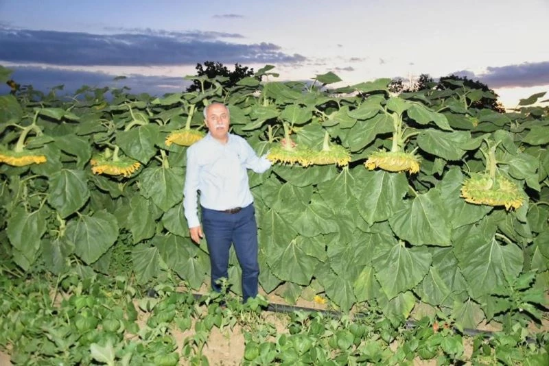 Yenişehir Belediyesinden jet hızıyla ’tırtıl’ operasyonu
