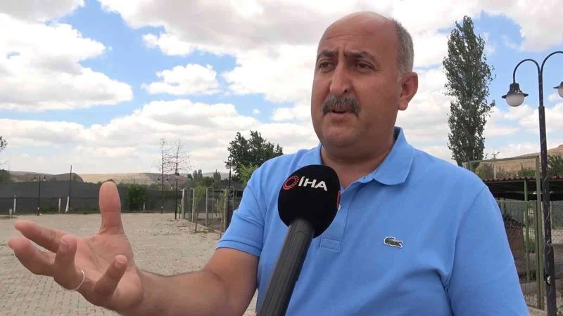 Her ay 100’ün üzerinde köpek bırakılınca, 