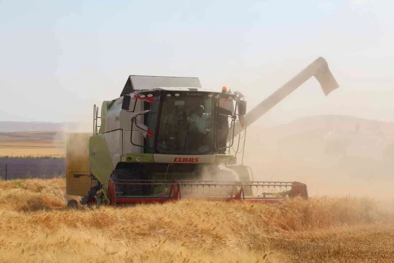 Siirt’te son 20 yılın en bereketli hasadı yaşandı
