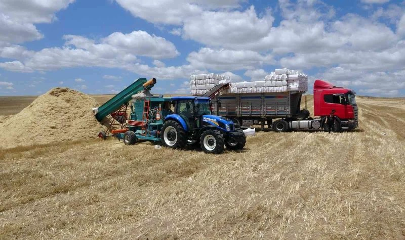 Yozgat’ta saman balyası mesaisi başladı
