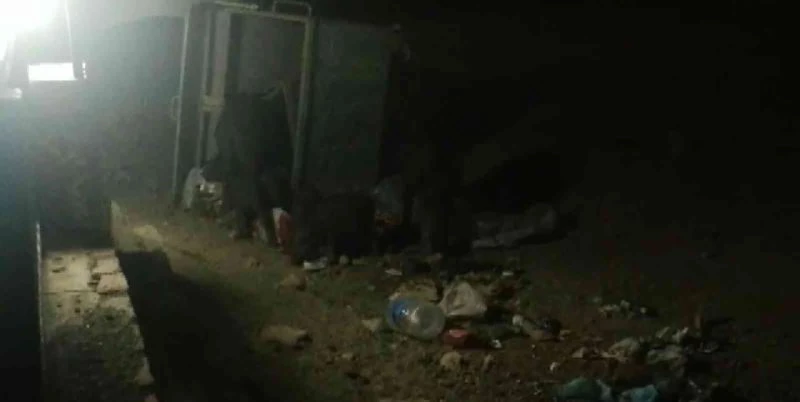 Aydın’da domuzlar tatil sitesini bastı
