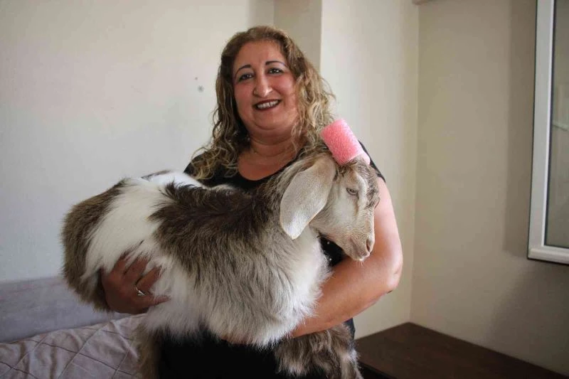 Çay tiryakisi Ninja’ya gözü gibi bakıyor
