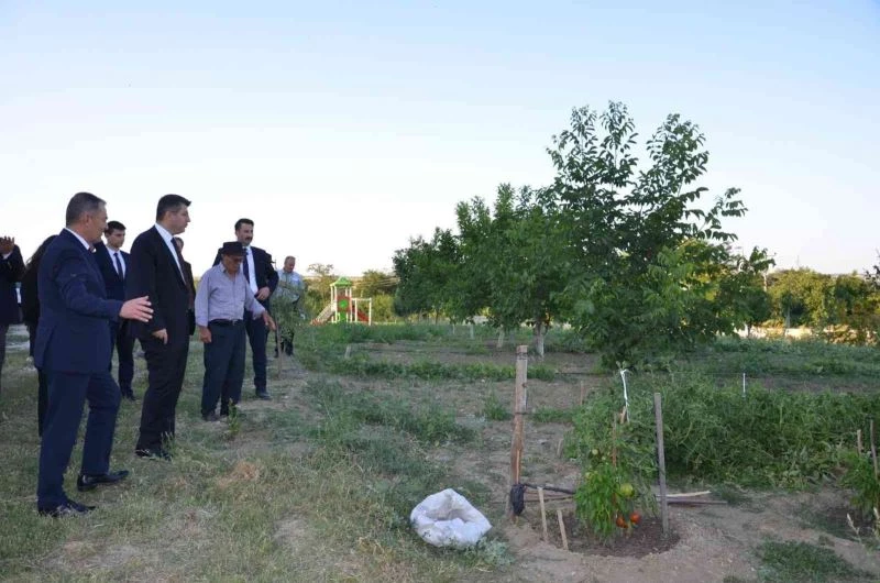 Huzurevi sakinleri kendi sebzelerini yetiştiriyor
