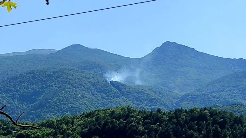 Uludağ’ın eteklerindeki orman yangını kontrol altına alındı
