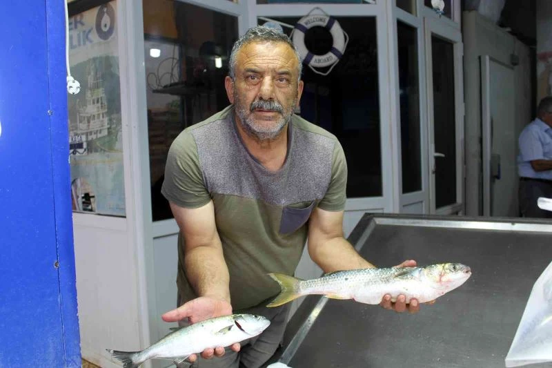 Yaz aylarında tezgâhlar kültür balıklarına kaldı
