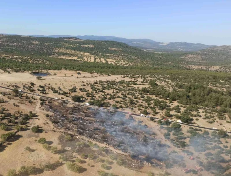 Manisa’daki orman yangını hızlı müdahaleyle büyümeden söndürüldü
