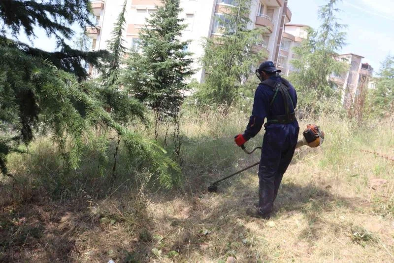 İzmit Belediyesi’nden Alikahya’da tırpan mesaisi

