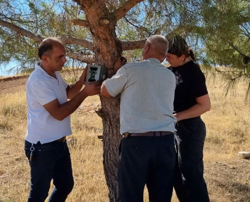 Fotokapanlar bakımdan geçirildi
