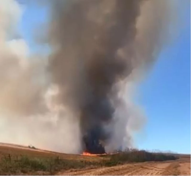 Tekirdağ’da bin dönüm buğday tarlası yandı
