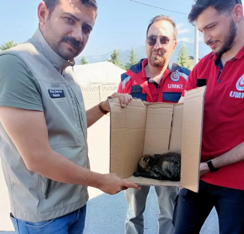 Yavru tilkinin yardımına ekipler koştu
