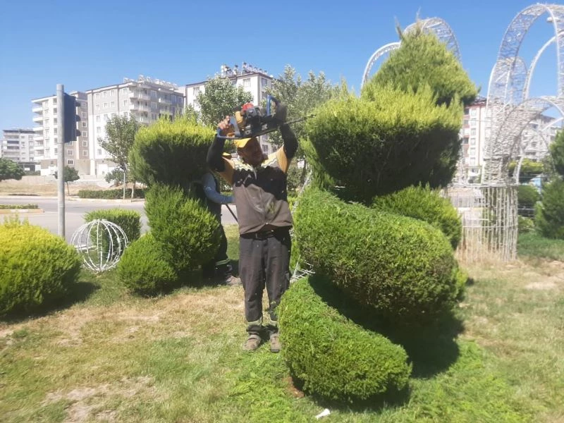 Kilis’te park, refüj ve bulvarlara yaz bakımı
