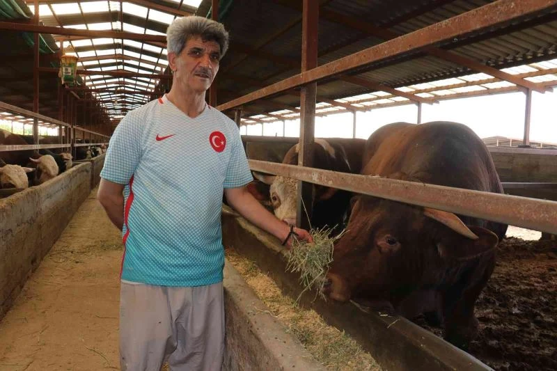 1 tonluk ’Rüzgar’ alıcısını bekliyor
