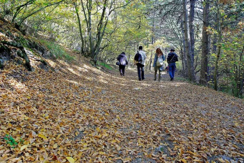 Eskişehir’deki ormanlık alanlara girişler yasaklandı
