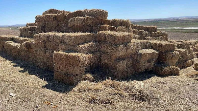 Başkentli hayvan yetiştiricilerine yem desteği
