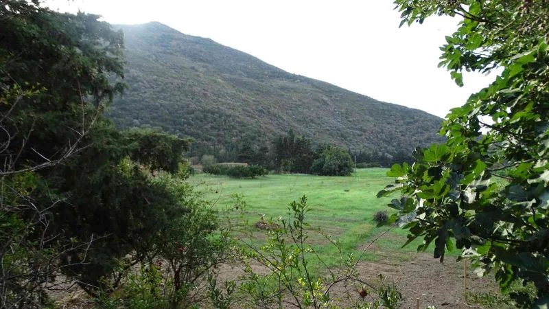 Çevre, Şehircilik ve İklim Değişikliği Bakanlığı, tabiat varlıklarının korunmasına yönelik çalışmalarına devam ediyor
