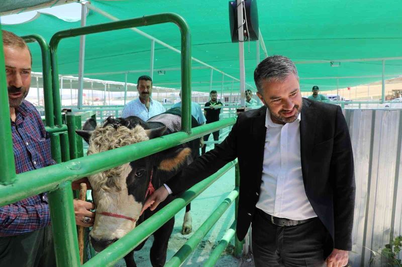 Pursaklar Belediye Başkanı Çetin: “Bu tesis bir günde 500 büyükbaş hayvan kesme kapasitesine sahip”
