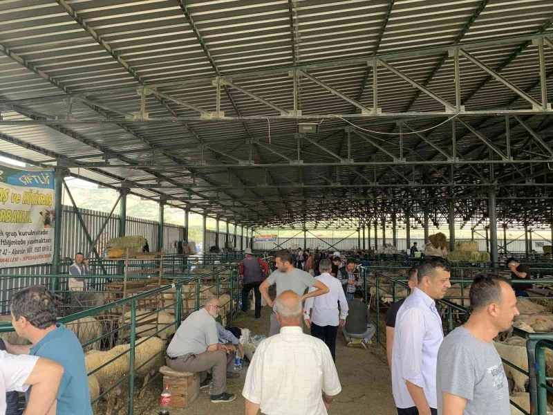 Kurban pazarında arefe yoğunluğu
