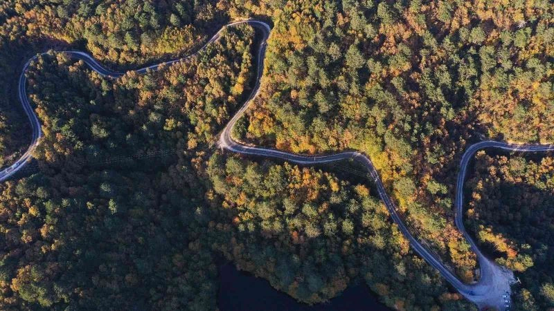 Yalova ormanlarına giriş ve çıkışlar yasaklandı
