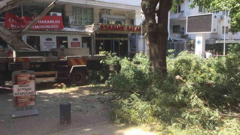 Ağaç dalının devrilme anı güvenlik kameralarına yansıdı

