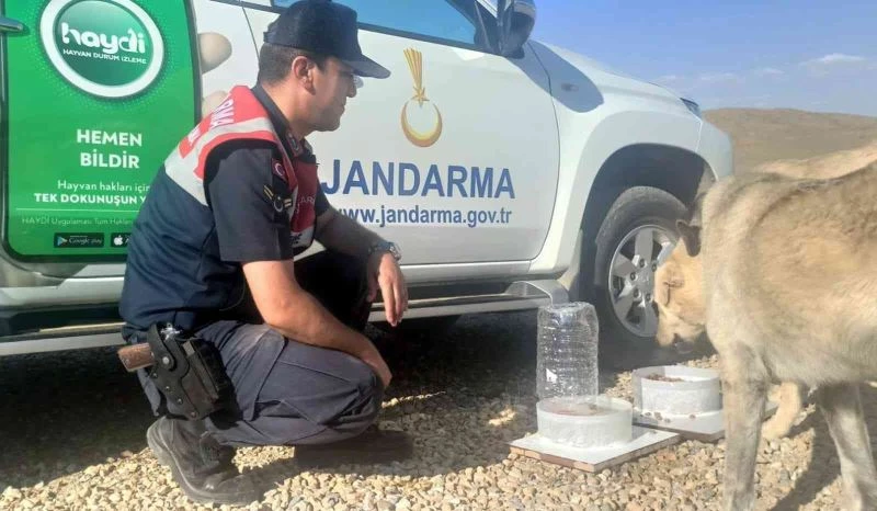 Jandarmadan hayvanlara şamandıra sistemli su ve yem kapları
