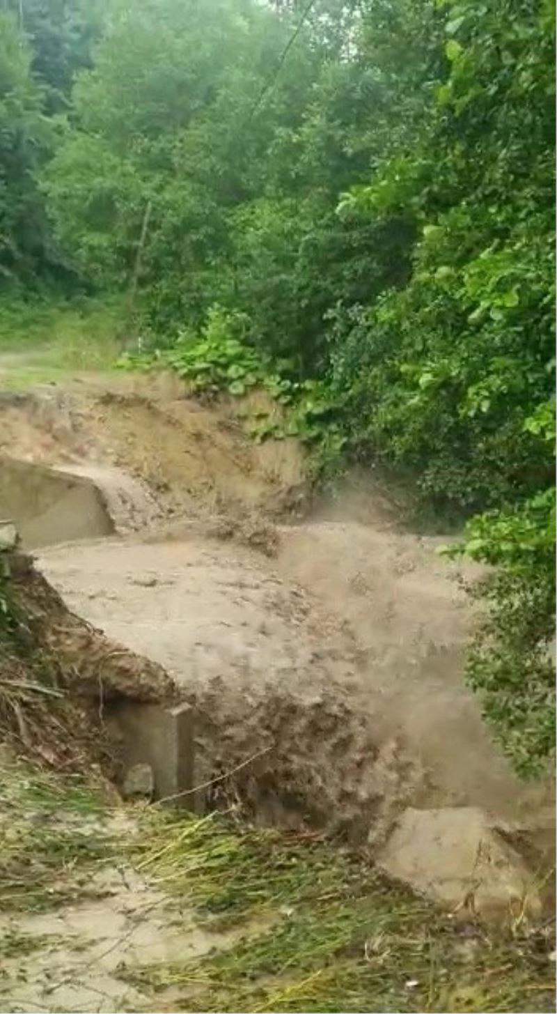 Düzce’de aşırı yağışlar taşkınlara sebep oldu
