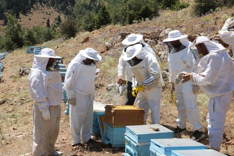 Arıcıların bal mesaisi başladı
