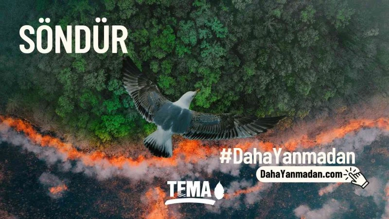 TEMA Vakfı, “Orman yangınlarını önlemek söndürmekten daha kolay”
