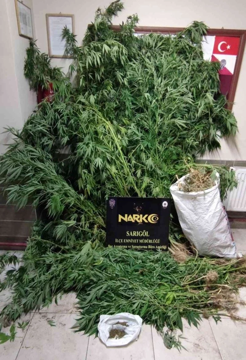 Manisa’da 1 kilo 784 gram esear yakalandı
