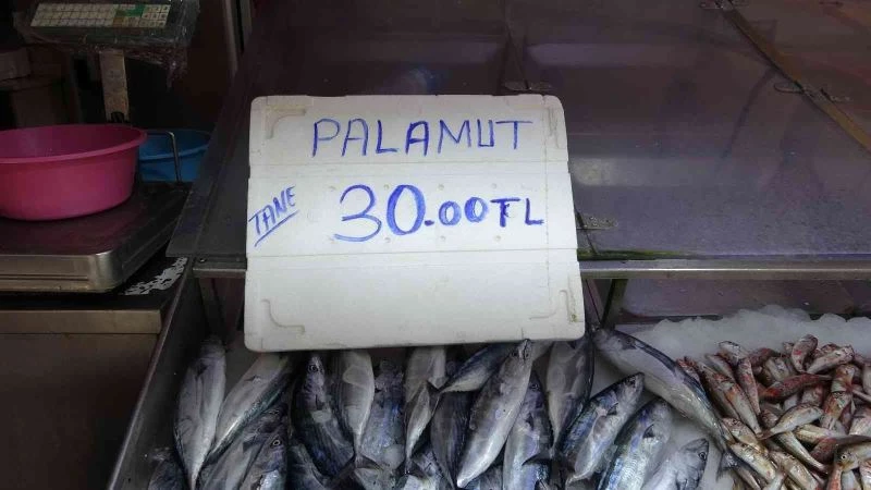 Sezonun ilk palamutları 30 liradan tezgâhlarda

