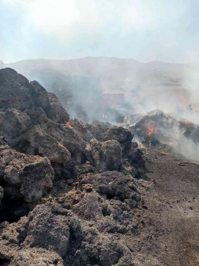 Gürpınar’da ot ve samanlar küle döndü
