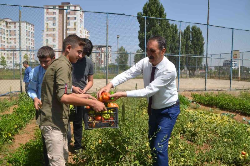 Muş’ta okul bahçesinde yetiştirilen sebzeler ihtiyaç sahiplerine dağıtılıyor
