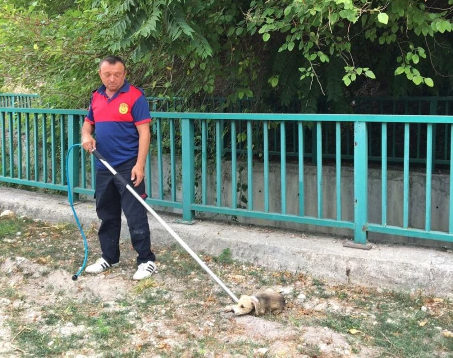 Kadirli İtfaiyesinden Köpek Kurtarma Operasyonu