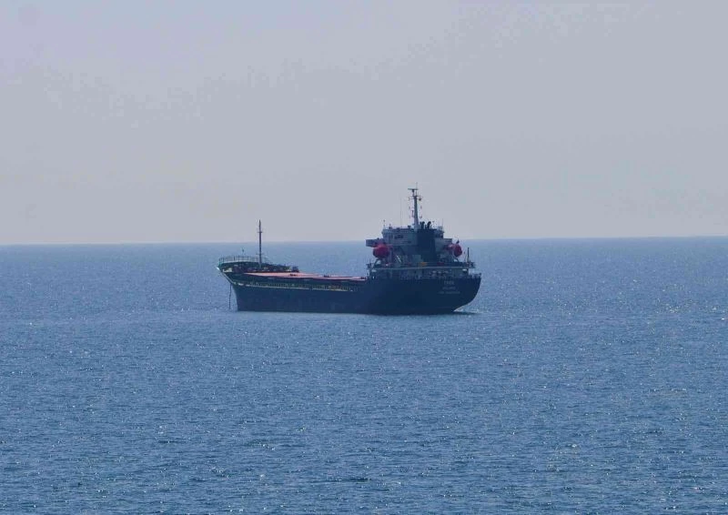 Ukrayna’dan 3 bin ton ayçiçeği taşıyan gemi Tekirdağ’a yanaştı
