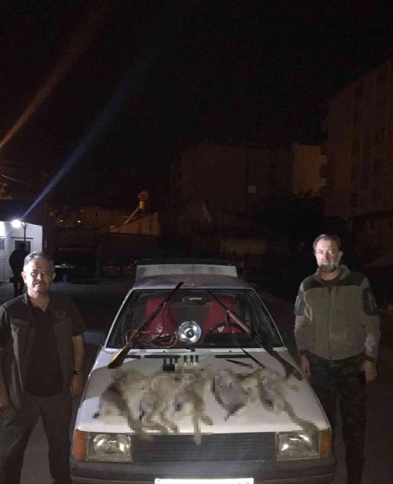 Yasa dışı tavşan avı pahalıya patladı
