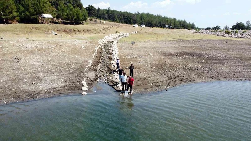 Bursa’da 10 bin yavru sazan balığı suyla buluştu
