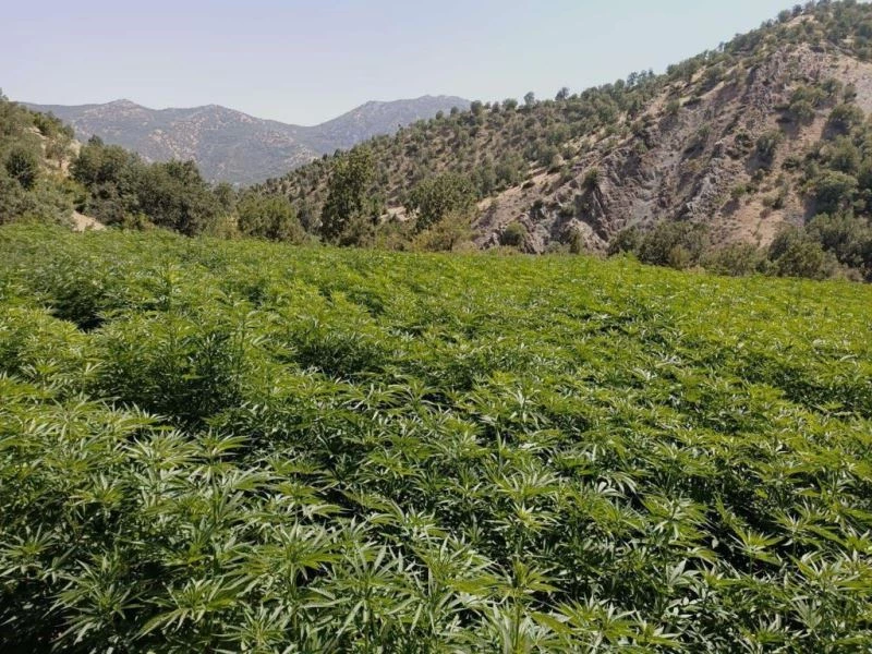 Diyarbakır’da terörün finansman kaynağı 