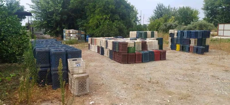 Hatay’da 963 adet narenciye kasası çalan zanlı yakalandı