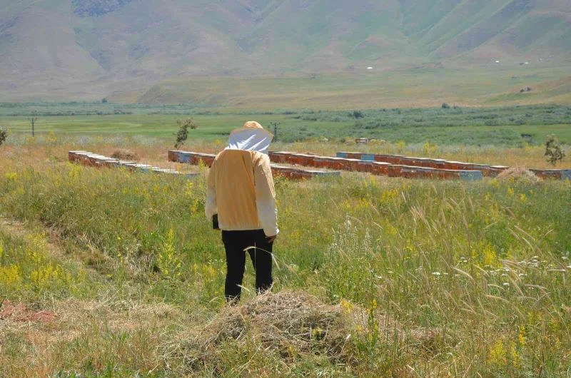 Şırnak’ta 700 ton baldan 150 milyon lira gelir hedefleniyor
