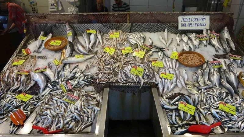 Balıkta bolluk yok, çeşitlilik çok
