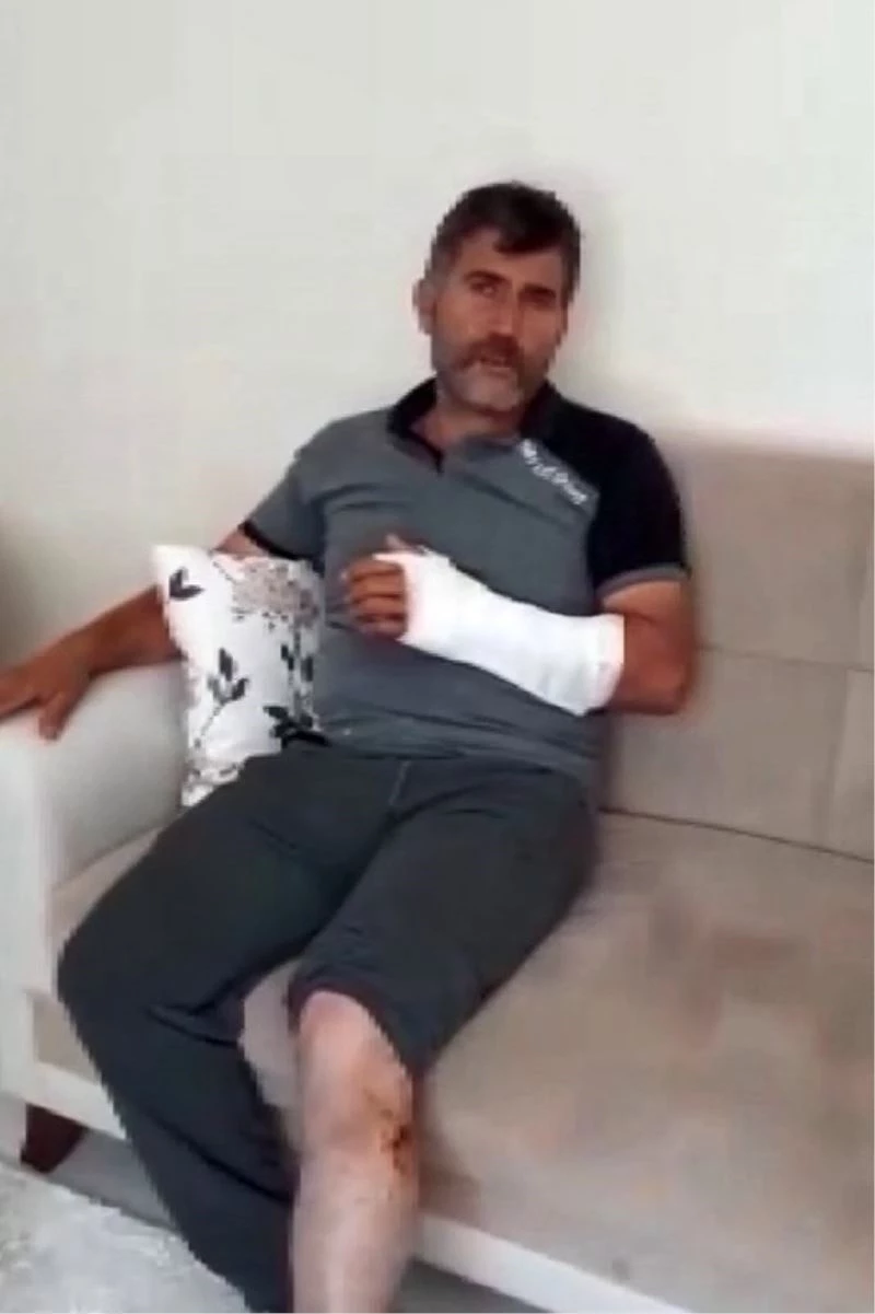 Öldüğü sandığı ayı saldırdı güreşerek hayatta kaldı
