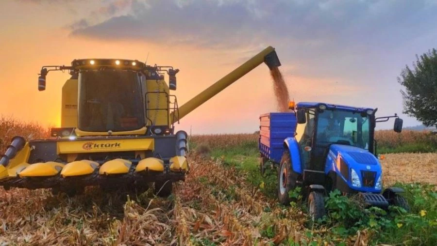 Mısırda verim, çiftçinin yüzünü güldürdü