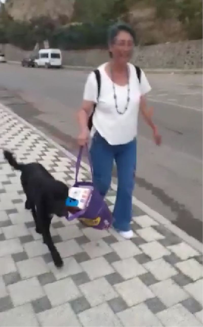Muhtarın çantasını taşıyan sokak köpeği gülümsetti
