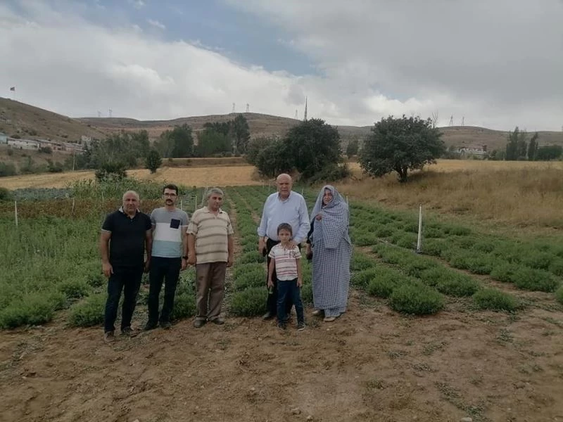 Başkan Pekmezci, üretim bahçelerinde incelemelerde bulundu

