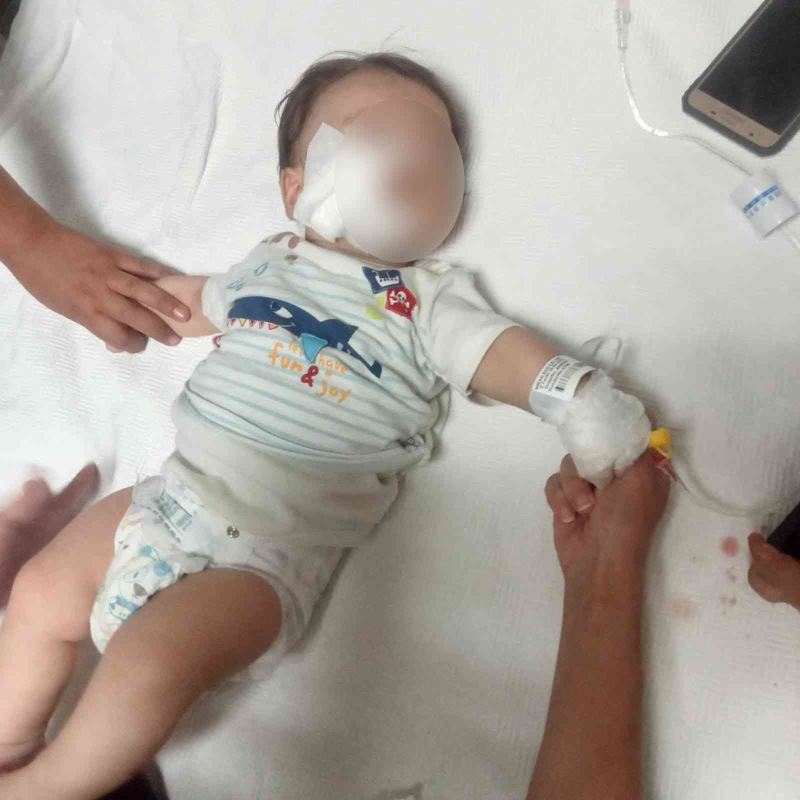 Yörük Şenliği’nde feci olay: Atın ısırdığı bebek ağır yaralandı
