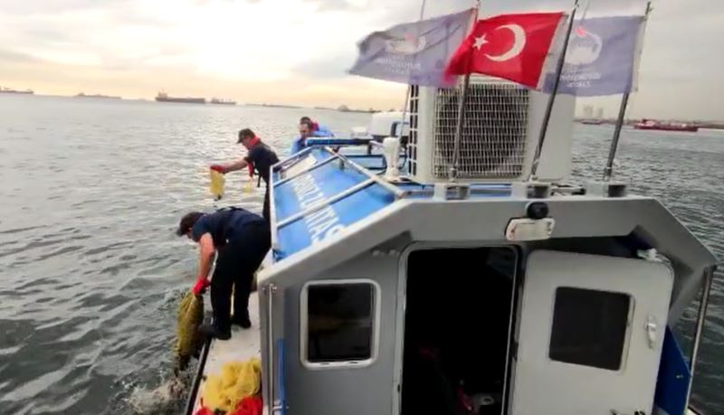 Kaçak avlanan 2,5 ton kara kıllı midye ve 500 kilo deniz salyangozu  ele geçirildi
