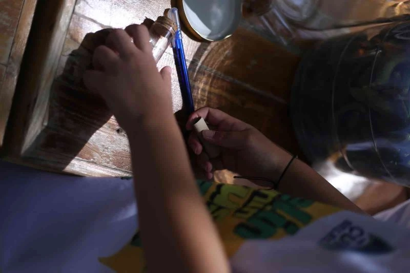 Minik elleriyle dilek turşusu kurdular
