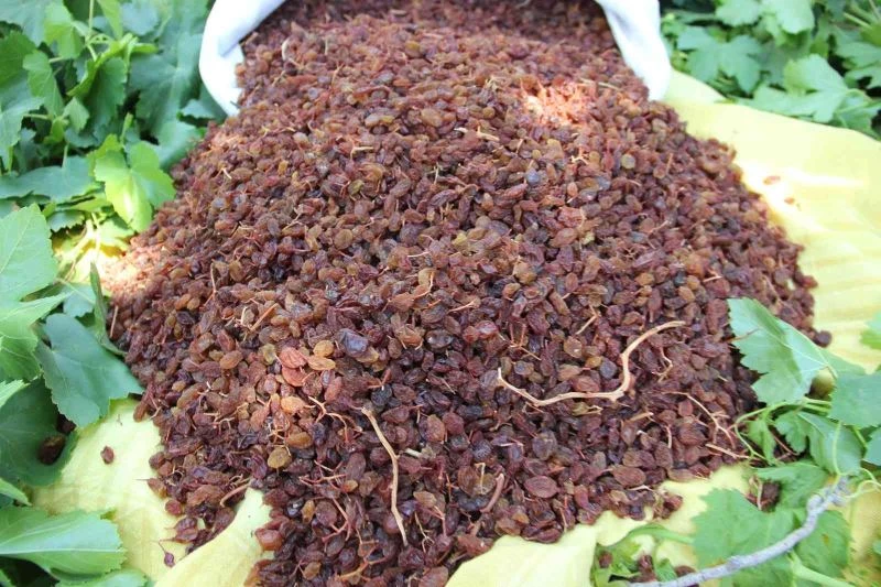 TARİŞ, TMO ile iş birliğine hazır
