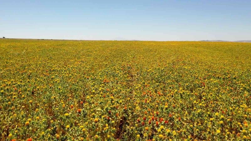 Başkan Büyükkılıç: 